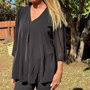 Chic Black V-Neck Blouse with Sheer Sleeves